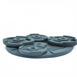 Диск для штанги РЕКОРД D51 мм 10кг